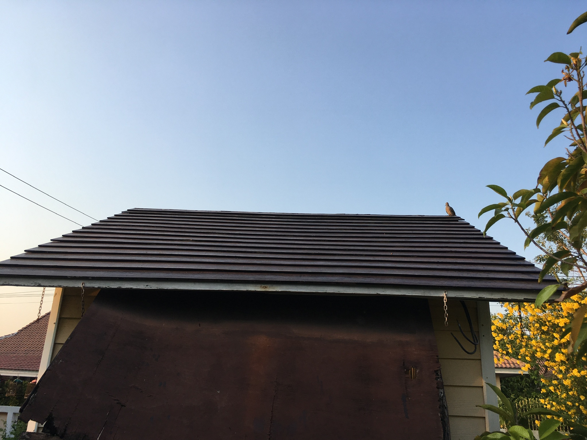 タイで 物置の屋根トソーに挑戦 苦戦の末に完成 屋根も生き返った ブッダの世界 タイで生きる